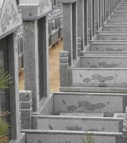 葫芦岛祖坟墓地出现这种现象，大事不妙，千万要注意了！